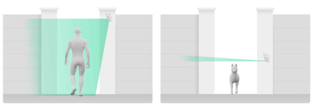 Detector exterior con inmunidad a animales